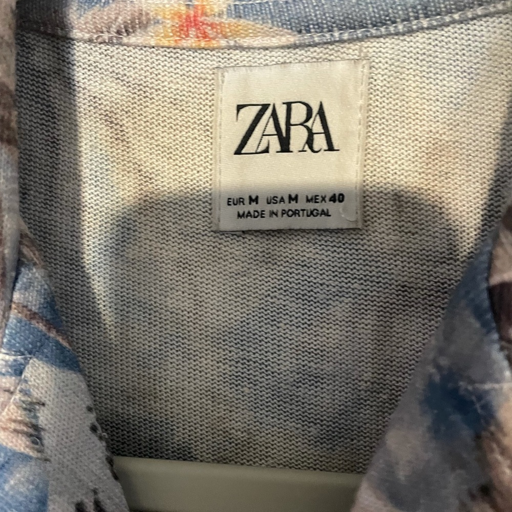 Palm Trees - image 2